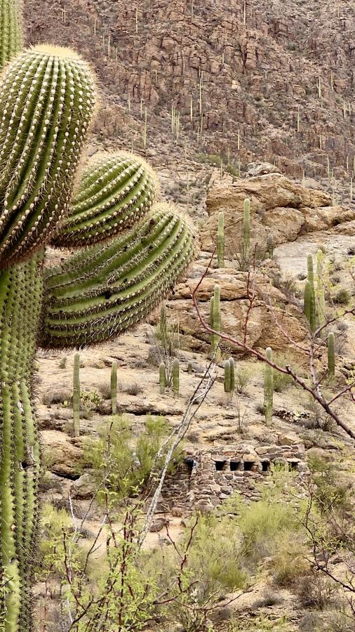 Click image for larger version

Name:	IMG_8141.jpeg
Views:	86
Size:	164.0 KB
ID:	30174