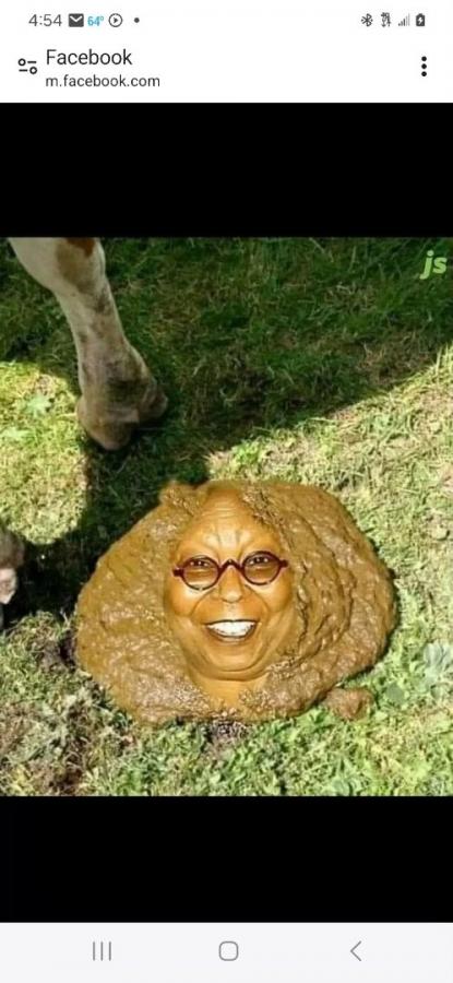 Click image for larger version

Name:	Resized_Screenshot_20231222_165429_Chrome_1703285706501.jpeg
Views:	67
Size:	54.9 KB
ID:	30309