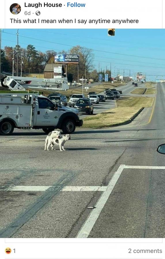 Click image for larger version

Name:	IMG_0403.jpeg
Views:	70
Size:	89.6 KB
ID:	30311