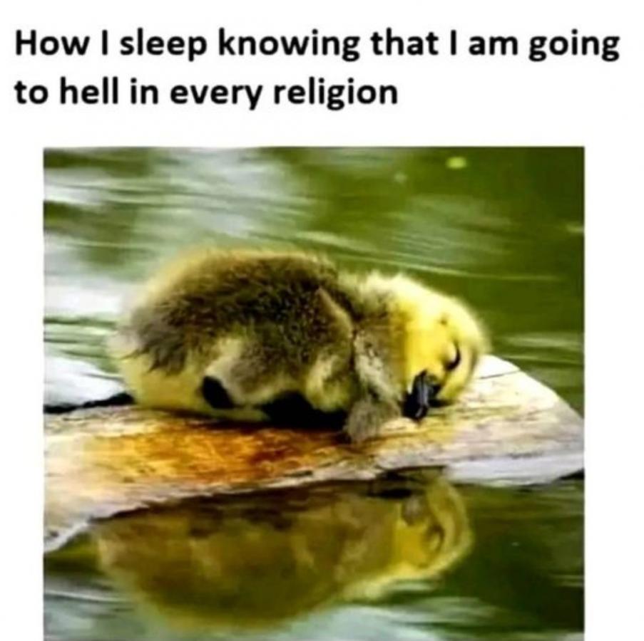 Click image for larger version

Name:	Screenshot_20231225_193614_Instagram.jpg
Views:	63
Size:	64.9 KB
ID:	30331