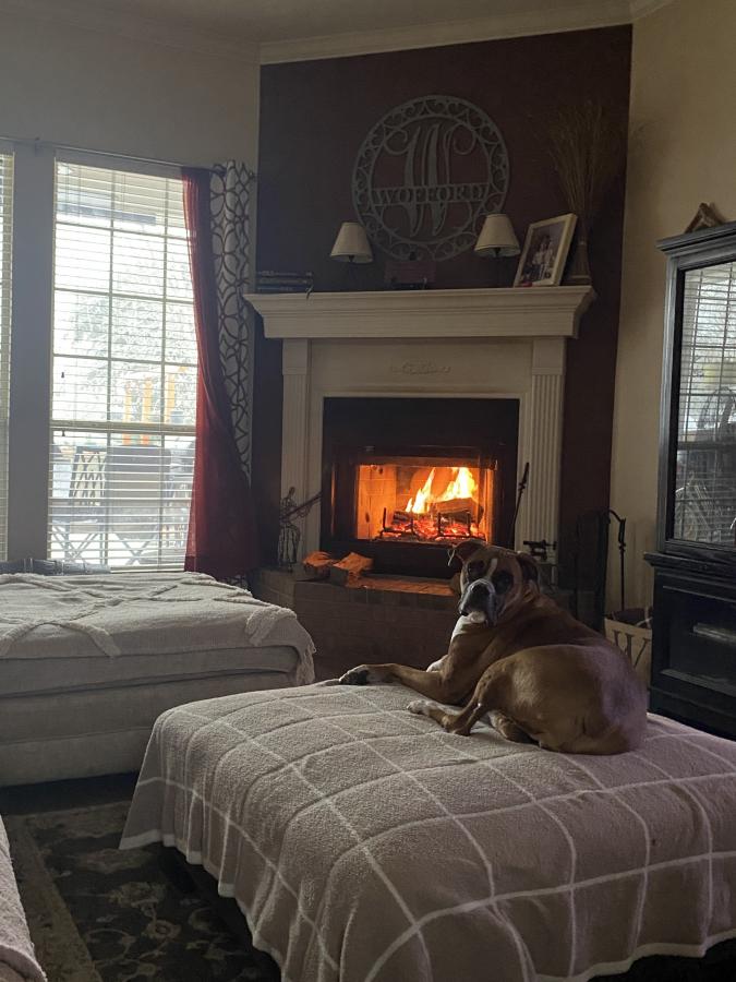 Click image for larger version

Name:	IMG_1330.jpeg
Views:	54
Size:	78.4 KB
ID:	30448