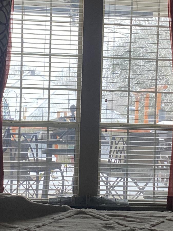 Click image for larger version

Name:	IMG_1328.jpeg
Views:	53
Size:	119.4 KB
ID:	30449