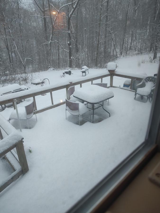 Click image for larger version

Name:	IMG_20240115_171327294.jpg
Views:	53
Size:	75.2 KB
ID:	30451