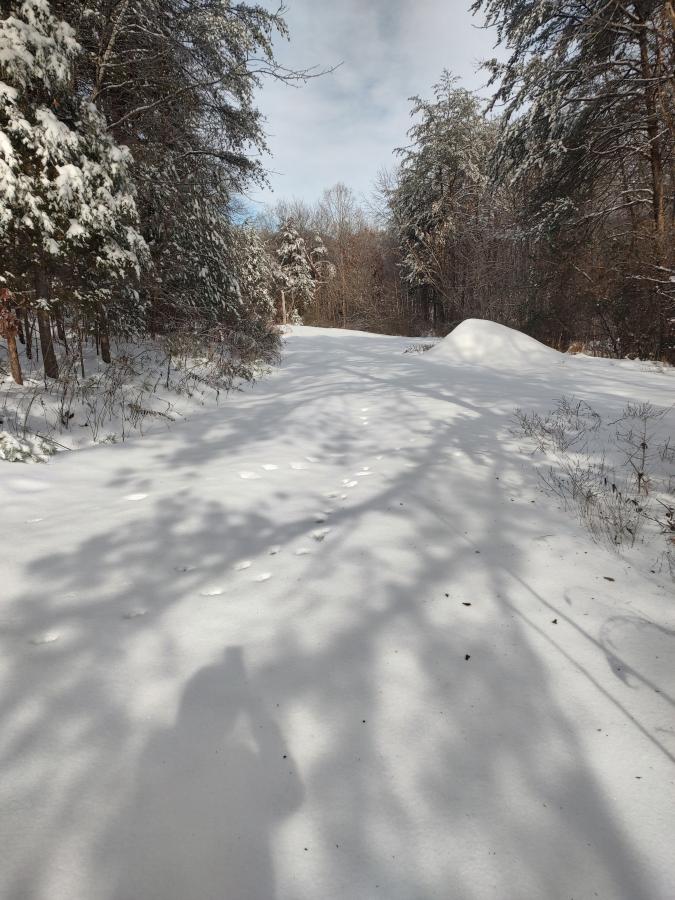 Click image for larger version

Name:	IMG_20240116_140434745_HDR.jpg
Views:	45
Size:	103.3 KB
ID:	30460