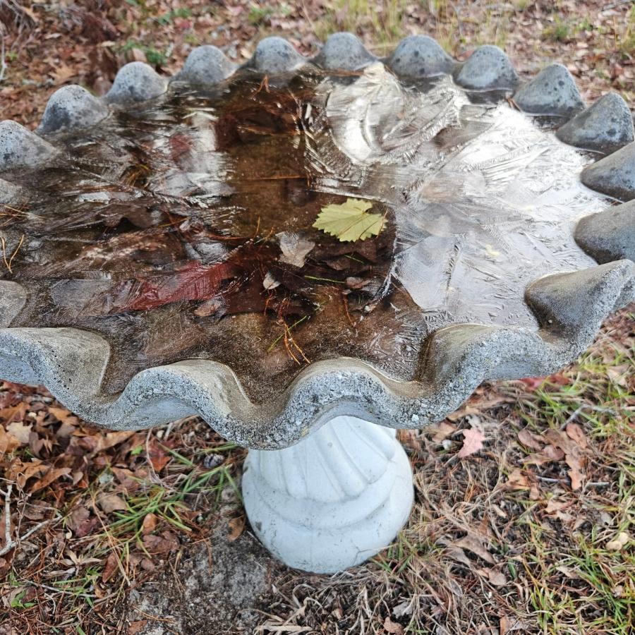 Click image for larger version

Name:	IMG_20240117_081835_407.jpg
Views:	34
Size:	209.4 KB
ID:	30470