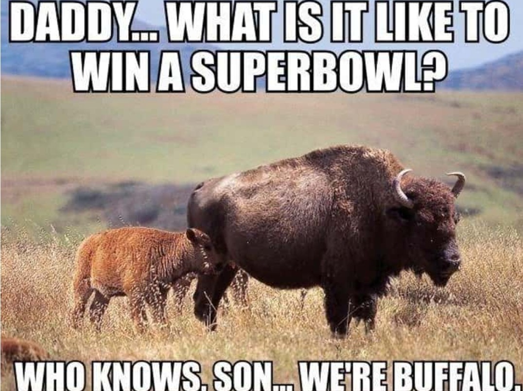 Click image for larger version

Name:	Screenshot_20240123_114601_Google.jpg
Views:	83
Size:	210.3 KB
ID:	30515