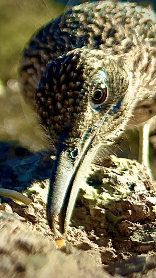 Click image for larger version

Name:	IMG_5296.jpeg
Views:	67
Size:	96.2 KB
ID:	30566