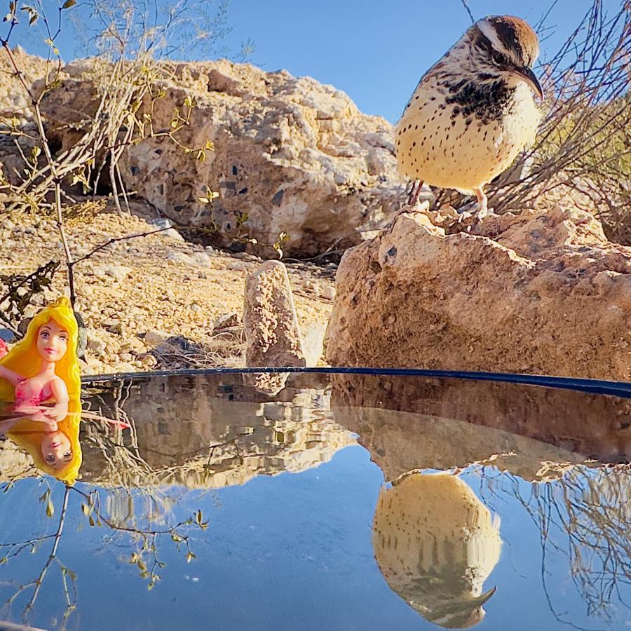 Click image for larger version

Name:	IMG_3796.jpeg
Views:	76
Size:	191.2 KB
ID:	30567