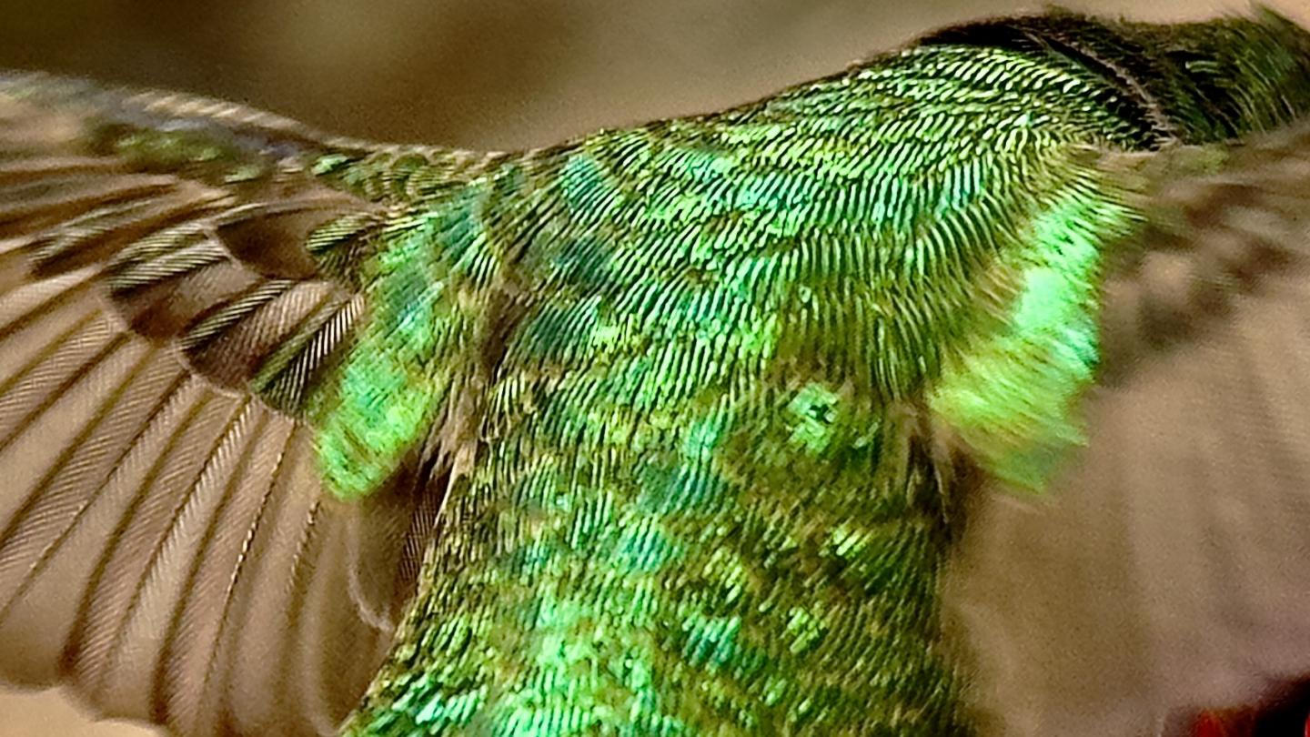 Click image for larger version

Name:	IMG_2311.jpeg
Views:	68
Size:	212.1 KB
ID:	30569