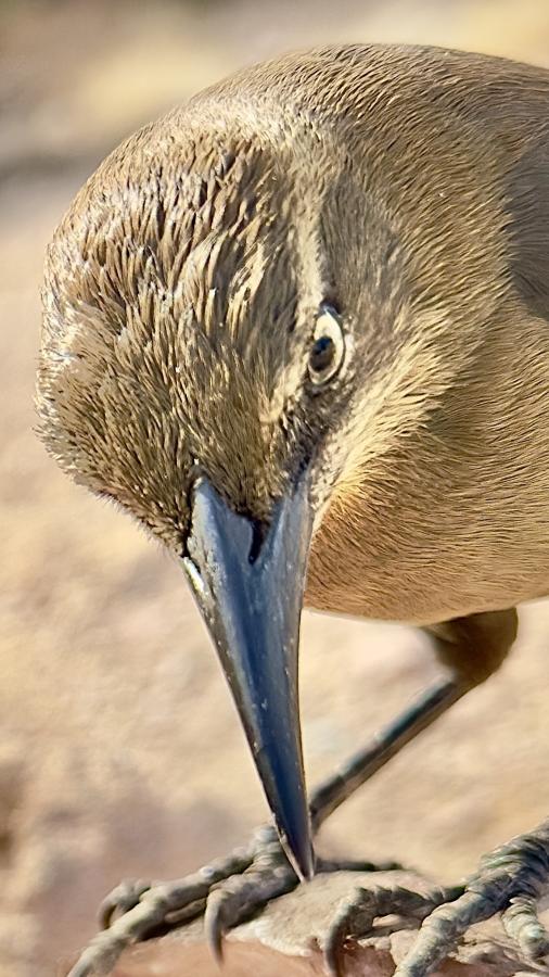 Click image for larger version

Name:	IMG_2622.jpeg
Views:	68
Size:	86.0 KB
ID:	30570