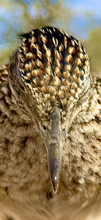 Click image for larger version  Name:	IMG_7952.jpeg Views:	0 Size:	70.6 KB ID:	30575