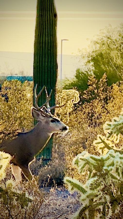 Click image for larger version

Name:	image_7654.jpg
Views:	75
Size:	96.9 KB
ID:	30576