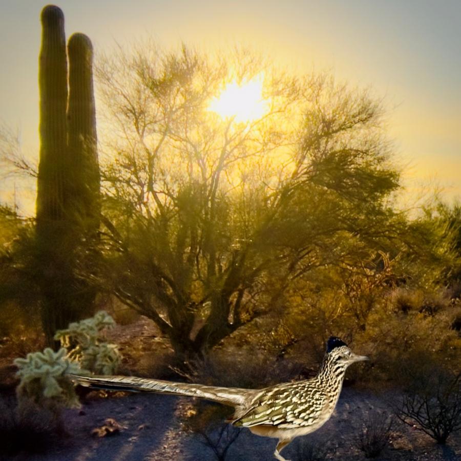 Click image for larger version  Name:	IMG_7965.jpeg Views:	0 Size:	108.5 KB ID:	30577