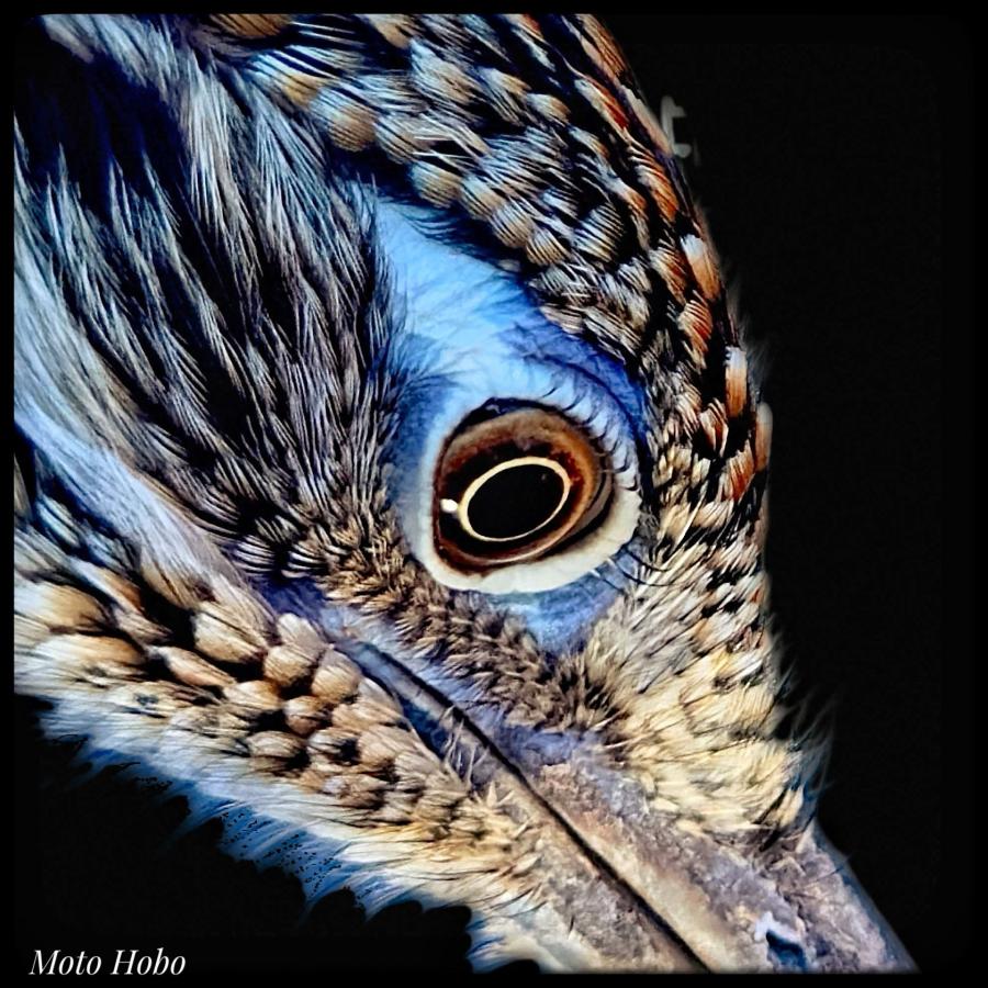 Click image for larger version  Name:	IMG_4878.jpeg Views:	0 Size:	145.8 KB ID:	30578