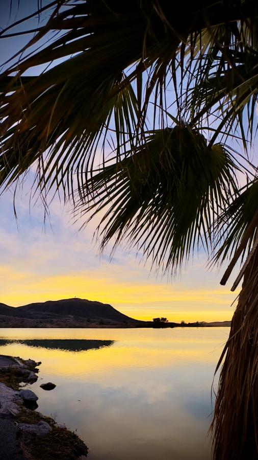 Click image for larger version

Name:	IMG_4389.jpeg
Views:	70
Size:	84.2 KB
ID:	30581