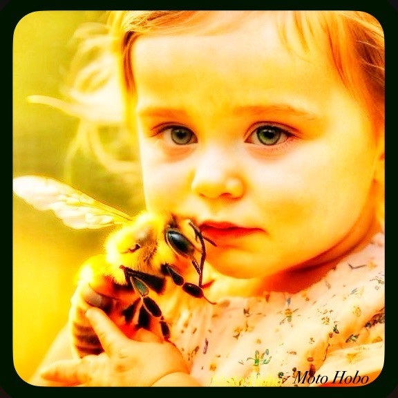 Click image for larger version

Name:	FullSizeRender.jpeg
Views:	76
Size:	74.6 KB
ID:	30582