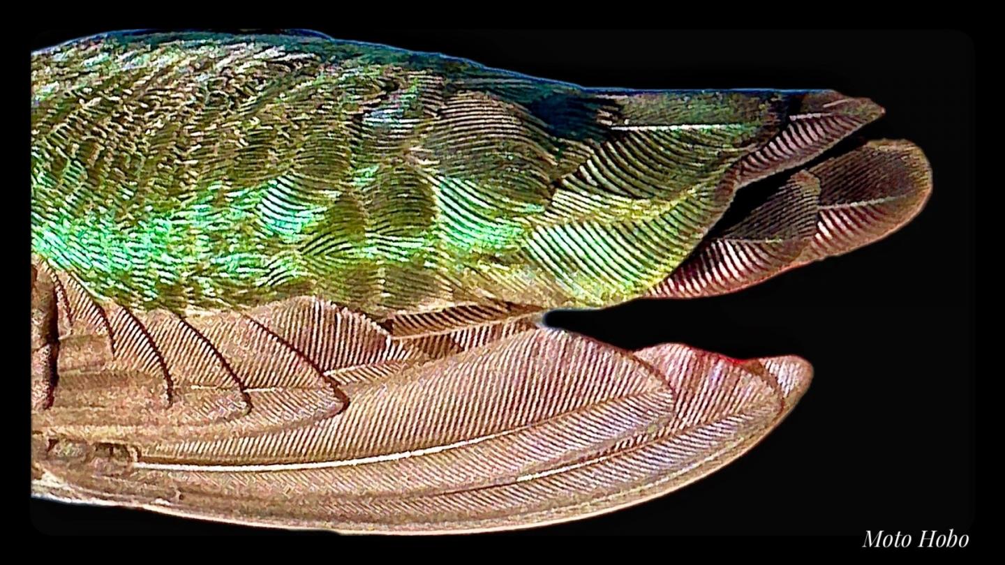 Click image for larger version

Name:	IMG_4546.jpeg
Views:	69
Size:	225.9 KB
ID:	30586