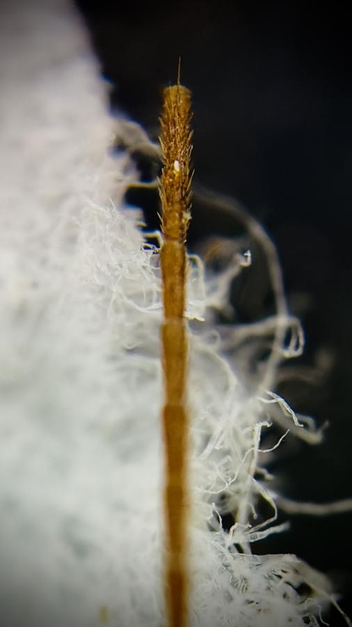 Click image for larger version

Name:	IMG_5446.jpeg
Views:	68
Size:	32.1 KB
ID:	30587