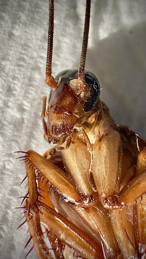 Click image for larger version

Name:	IMG_5434.jpeg
Views:	68
Size:	79.8 KB
ID:	30588