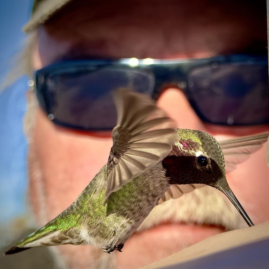 Click image for larger version

Name:	IMG_5156.jpeg
Views:	70
Size:	76.2 KB
ID:	30589