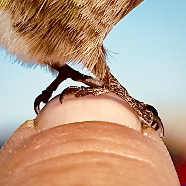 Click image for larger version

Name:	IMG_5498.jpeg
Views:	68
Size:	95.7 KB
ID:	30592