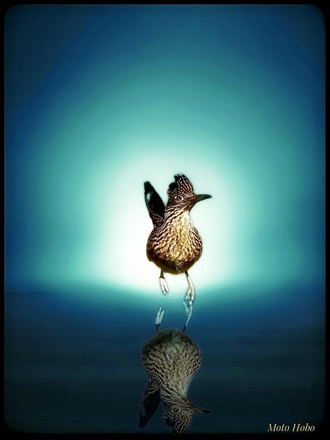 Click image for larger version

Name:	IMG_5490.jpeg
Views:	69
Size:	44.8 KB
ID:	30593