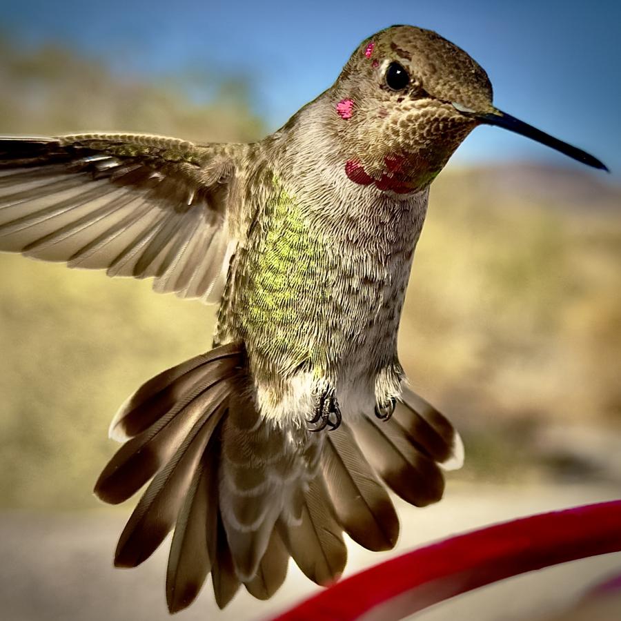 Click image for larger version

Name:	IMG_6765.jpeg
Views:	69
Size:	103.6 KB
ID:	30594