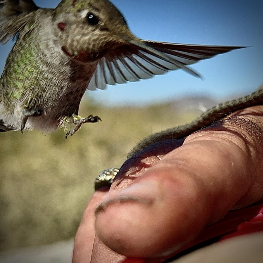 Click image for larger version

Name:	IMG_6729.jpeg
Views:	68
Size:	115.7 KB
ID:	30595