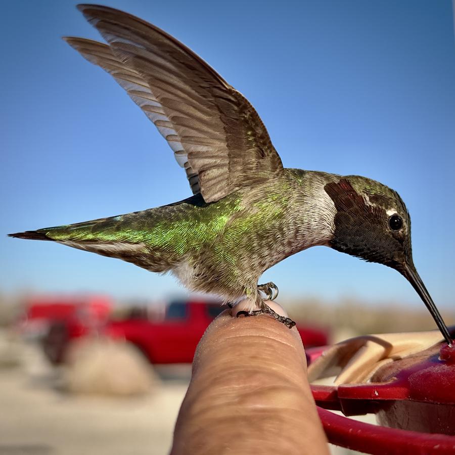 Click image for larger version

Name:	IMG_5500.jpeg
Views:	70
Size:	91.4 KB
ID:	30596