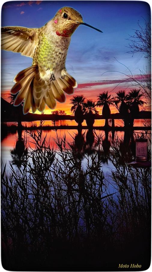 Click image for larger version

Name:	IMG_8897.jpeg
Views:	70
Size:	97.7 KB
ID:	30609