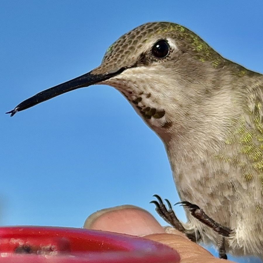 Click image for larger version

Name:	IMG_9204.jpeg
Views:	71
Size:	97.9 KB
ID:	30610