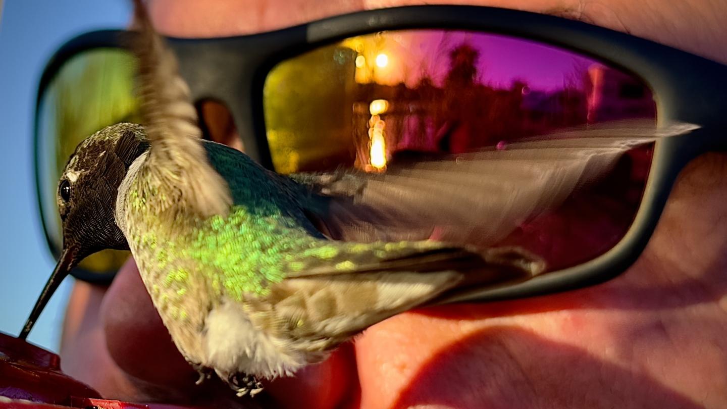 Click image for larger version

Name:	IMG_9598.jpeg
Views:	71
Size:	112.7 KB
ID:	30611