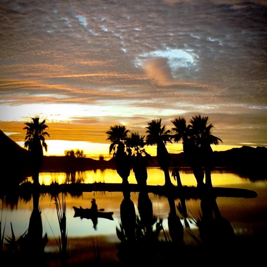 Click image for larger version

Name:	IMG_8923.jpeg
Views:	73
Size:	87.1 KB
ID:	30612