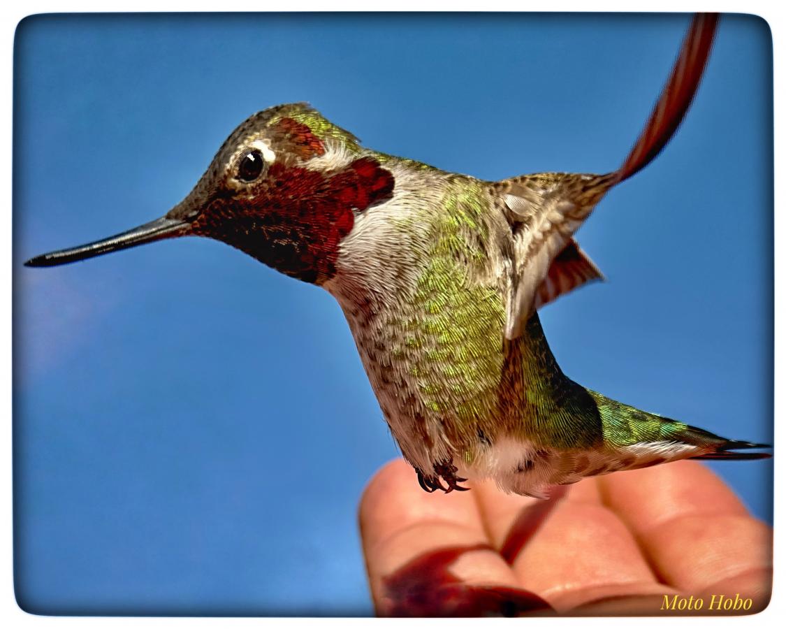 Click image for larger version

Name:	FullSizeRender.jpeg
Views:	75
Size:	98.2 KB
ID:	30614