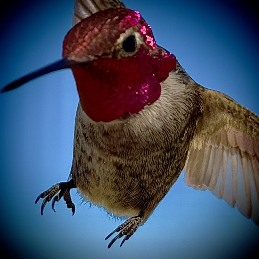 Click image for larger version

Name:	IMG_0423.jpeg
Views:	76
Size:	78.9 KB
ID:	30615