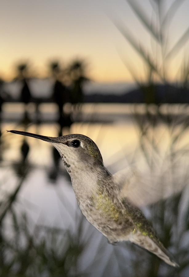 Click image for larger version

Name:	IMG_0280.jpeg
Views:	73
Size:	45.6 KB
ID:	30616