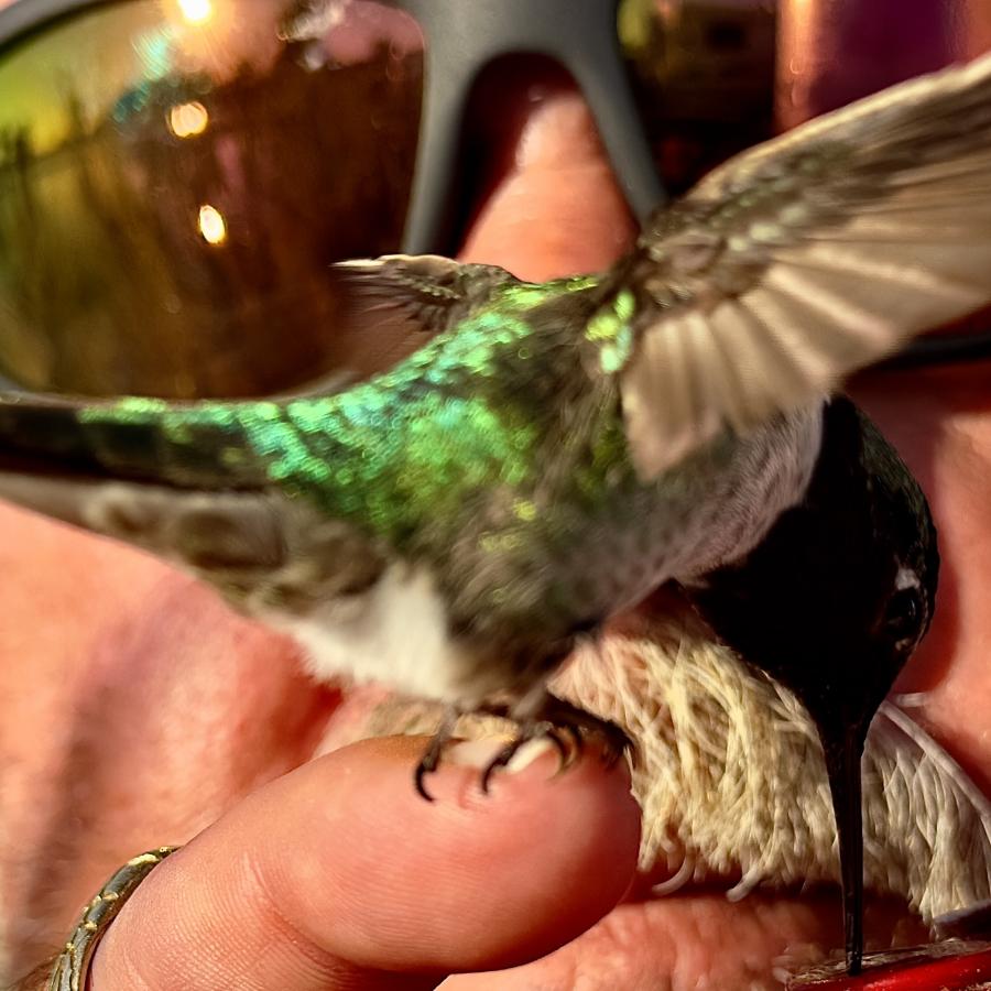 Click image for larger version

Name:	IMG_0571.jpeg
Views:	73
Size:	90.1 KB
ID:	30617