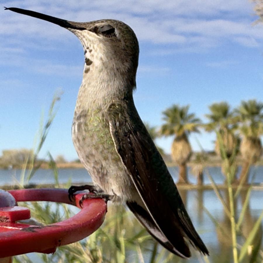 Click image for larger version

Name:	IMG_0331.jpeg
Views:	74
Size:	83.5 KB
ID:	30630