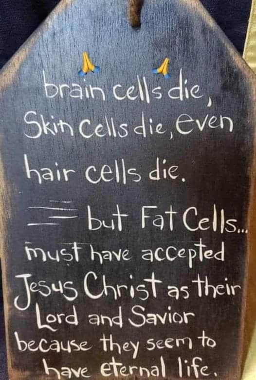 Click image for larger version

Name:	FB_IMG_1707232924006.jpg
Views:	143
Size:	85.3 KB
ID:	30648