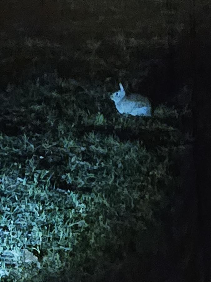 Click image for larger version

Name:	20240311_213641.jpg
Views:	27
Size:	72.9 KB
ID:	30763