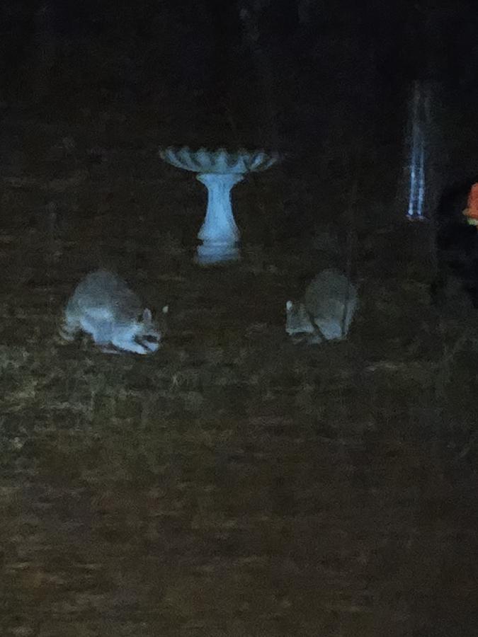 Click image for larger version

Name:	20240309_205436.jpg
Views:	27
Size:	59.9 KB
ID:	30764