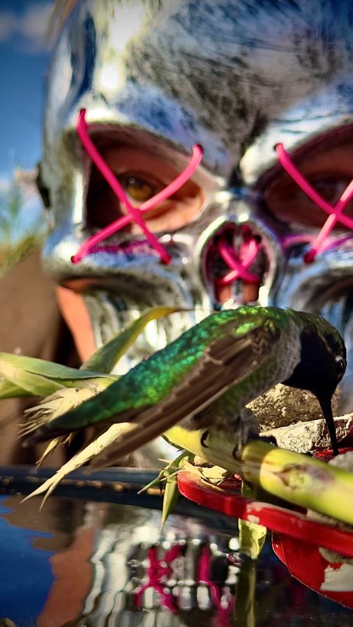 Click image for larger version

Name:	IMG_1338.jpeg
Views:	40
Size:	69.6 KB
ID:	30785