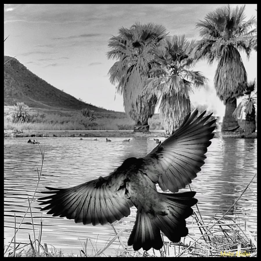 Click image for larger version

Name:	FullSizeRender.jpeg
Views:	37
Size:	143.3 KB
ID:	30786