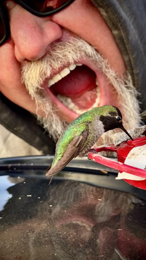 Click image for larger version

Name:	IMG_1421.jpeg
Views:	38
Size:	67.2 KB
ID:	30788