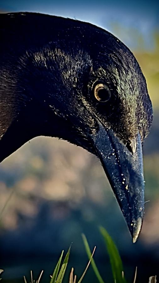 Click image for larger version

Name:	IMG_9088.jpeg
Views:	47
Size:	60.1 KB
ID:	30794