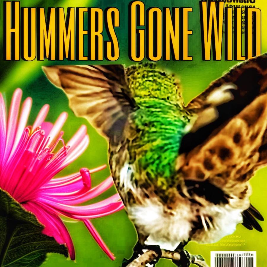 Click image for larger version

Name:	Snapseed.jpeg
Views:	46
Size:	137.4 KB
ID:	30797