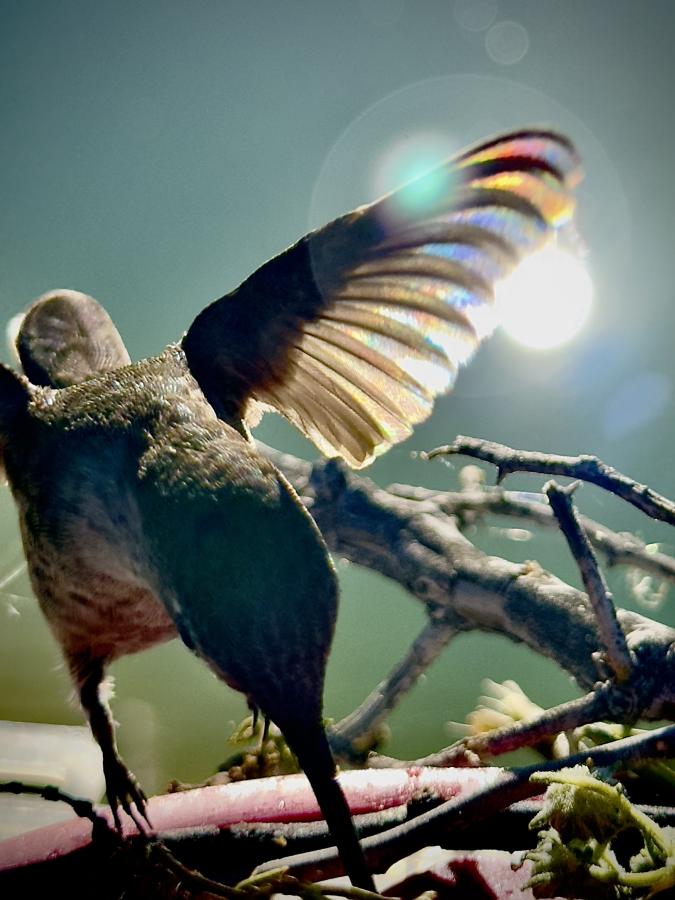 Click image for larger version

Name:	IMG_9623.jpeg
Views:	36
Size:	74.1 KB
ID:	30800