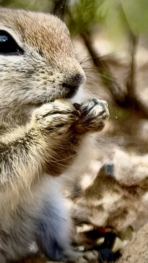 Click image for larger version

Name:	IMG_0047.jpeg
Views:	37
Size:	71.4 KB
ID:	30802