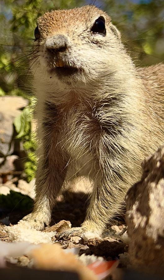 Click image for larger version

Name:	IMG_0510.jpeg
Views:	36
Size:	104.0 KB
ID:	30803