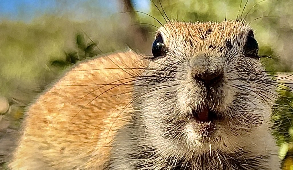 Click image for larger version

Name:	IMG_0880.jpeg
Views:	36
Size:	206.9 KB
ID:	30804